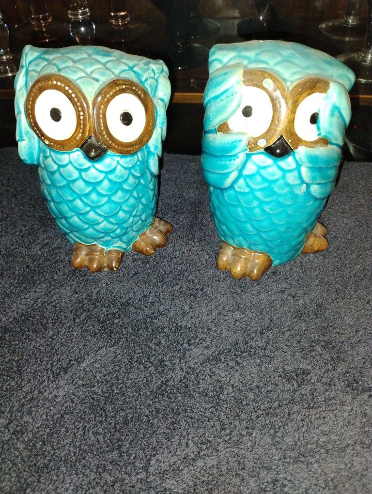 Owls
