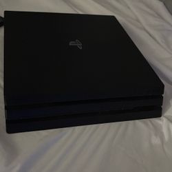 I Have A Turtle That Comes With It Too