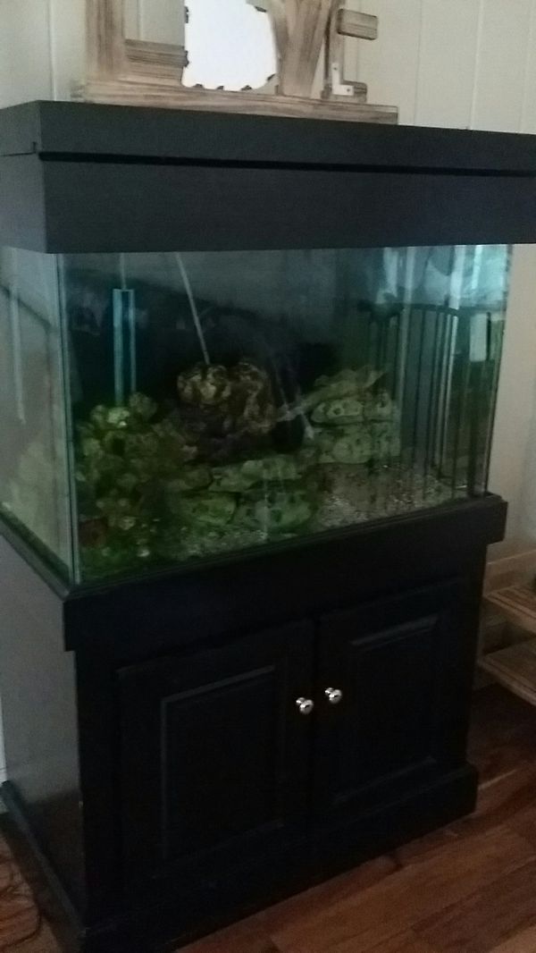 75 gallon tall fish tank for Sale in Columbus, OH OfferUp