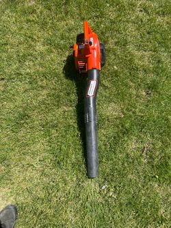 Leaf blower echo