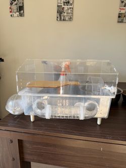 Hamster Animal Cage Setup