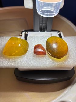 Amber pendant with bugs inside