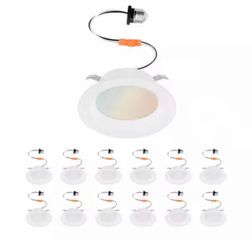 12-pack 4 in. LED Recessed Light