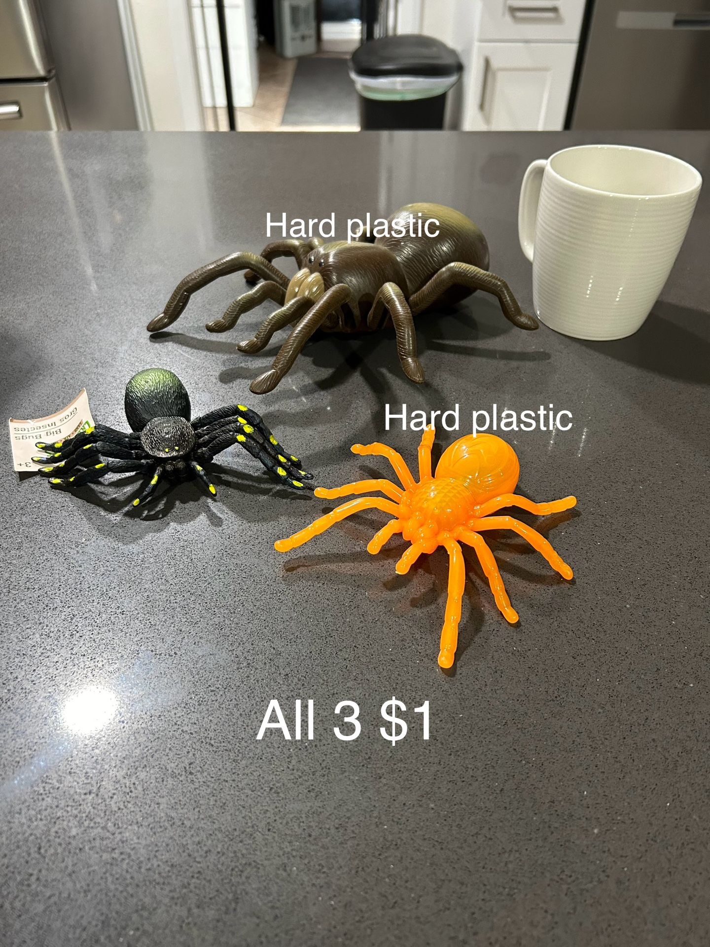 Spiders 🕷️ All $1