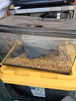 10gal fish tank