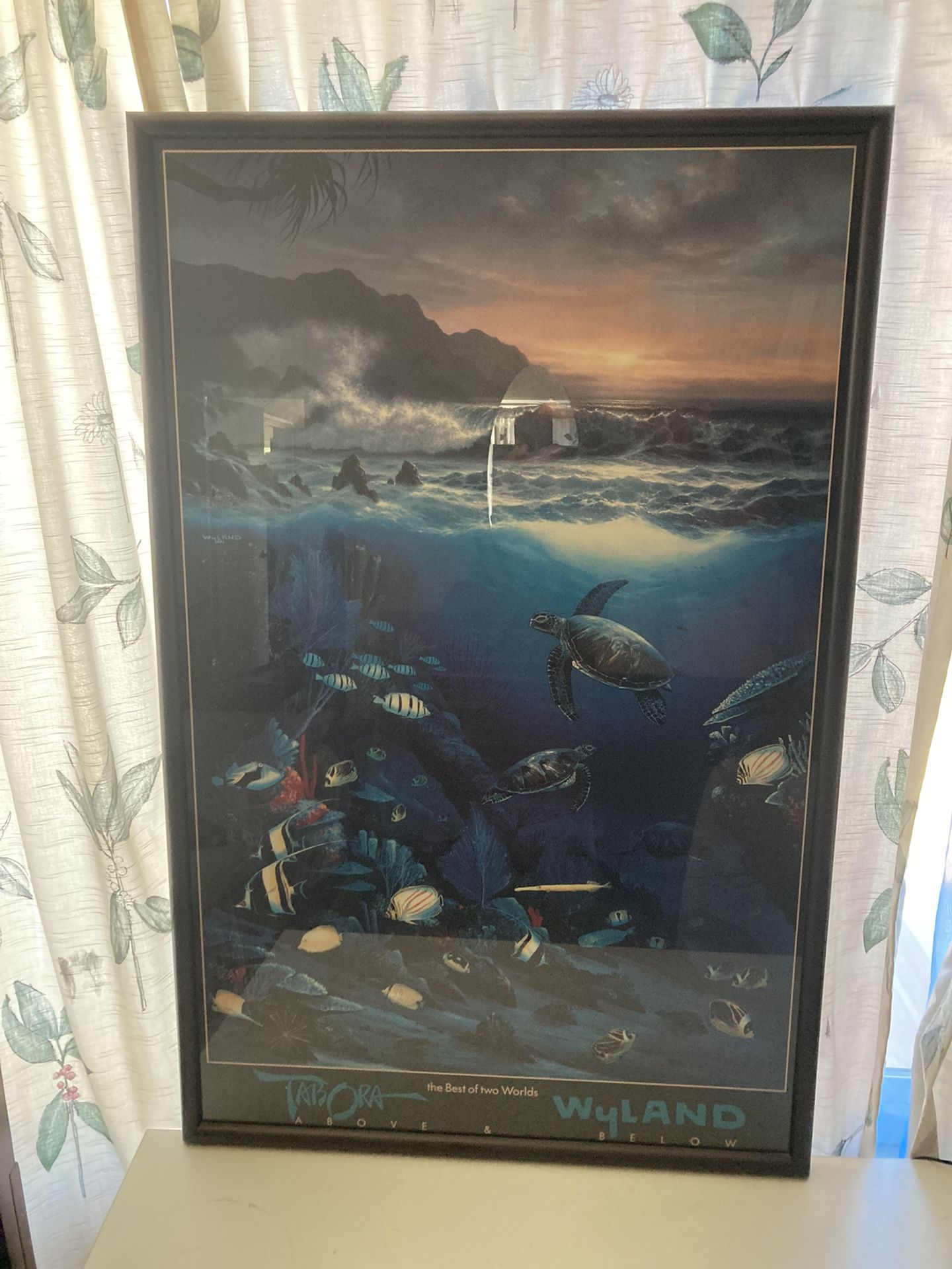 Wyland Poster Framed