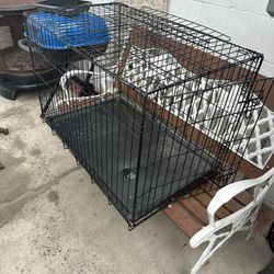 Dog Kennel
