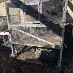 Rabbit Hutch