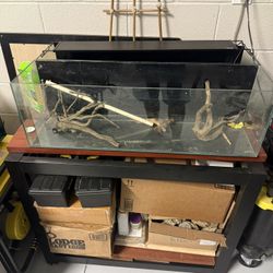 Free Fish Tank With Accessories And Stand I Have A Whole Bunch Of Dragon Stone