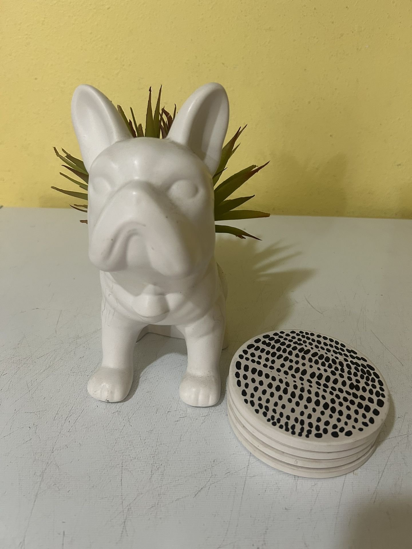 4 Coasters & French BullDog Fake Plant