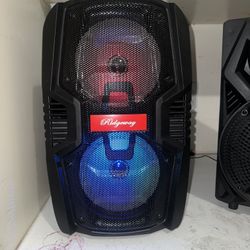 Portable Speaker System 