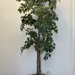 Artificial Tree