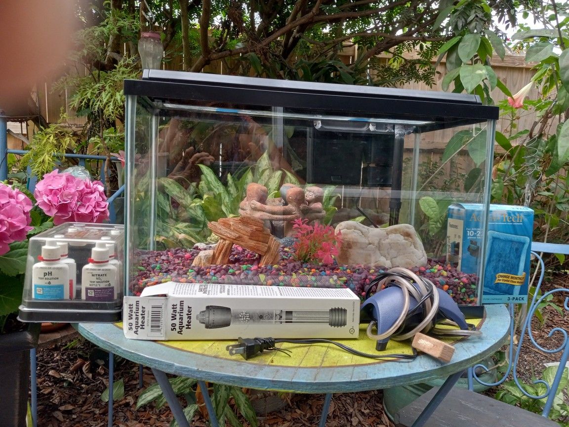 10 Gallon Aquarium