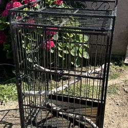 Bird Cage
