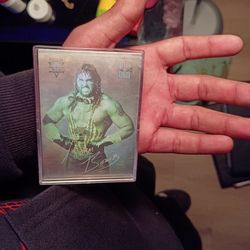 Wwe Card Any One Want 