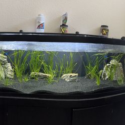 125 Gallon tank stand 
