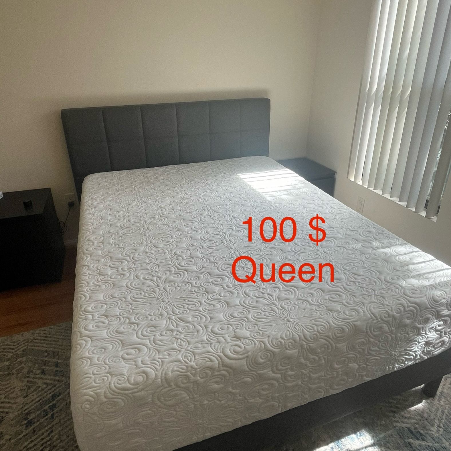 Mattress Queen 12in 