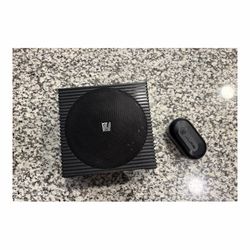 Speaker and earbuds