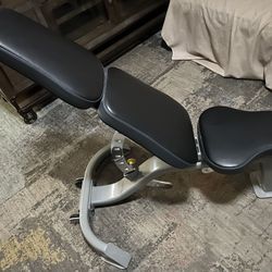 Workout Bench Commercial Grade