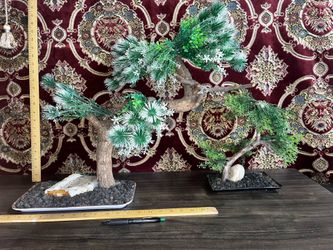2 Bonsai Trees Hand Made