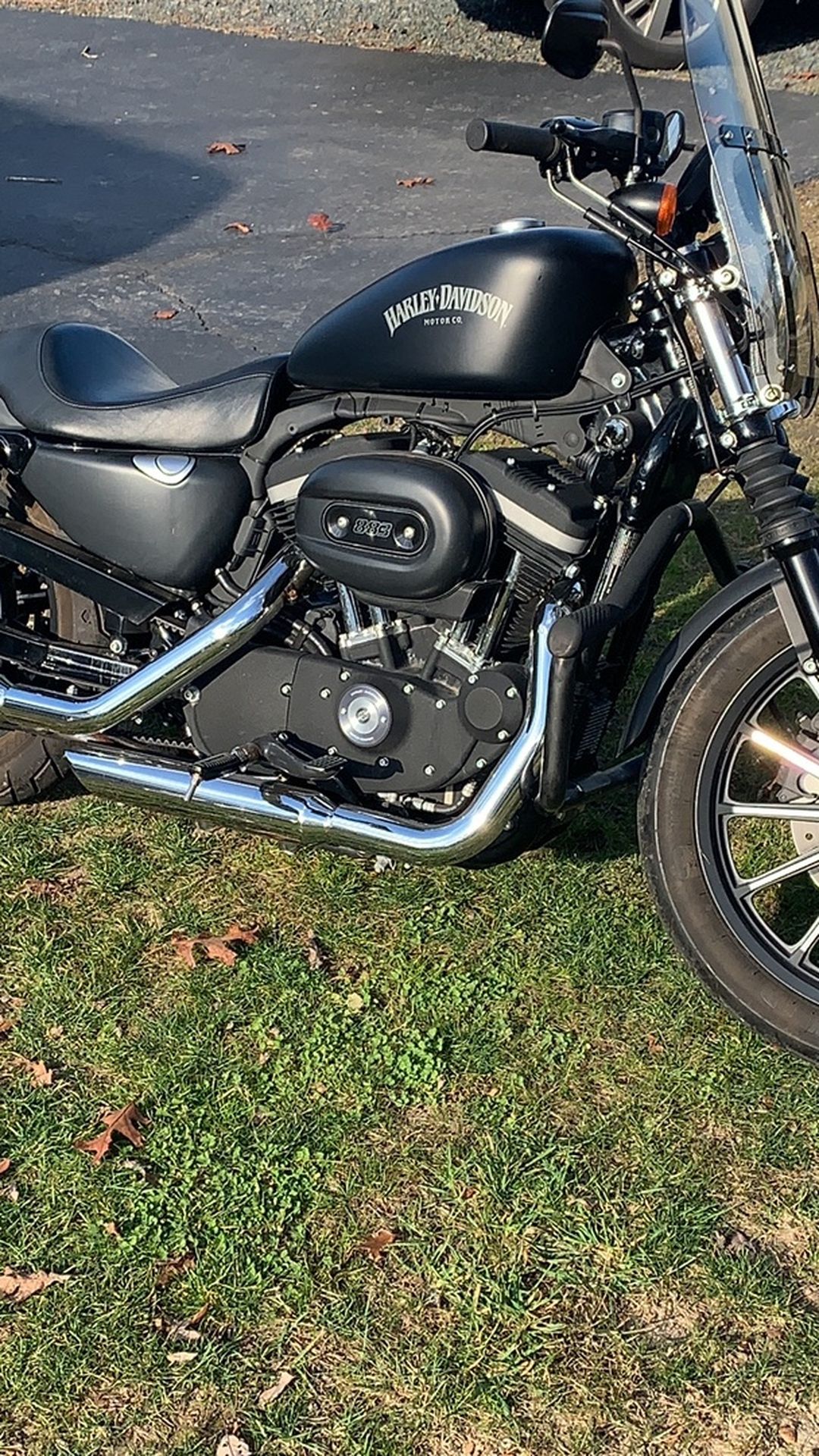 2013 Harley Davidson 883 iron