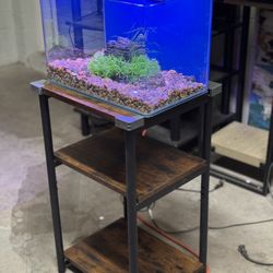 Complete set of Rimless 3 Gallon Fish Tank made of thick glass with Stand, Decor, Gravel & Light Almost NEW 