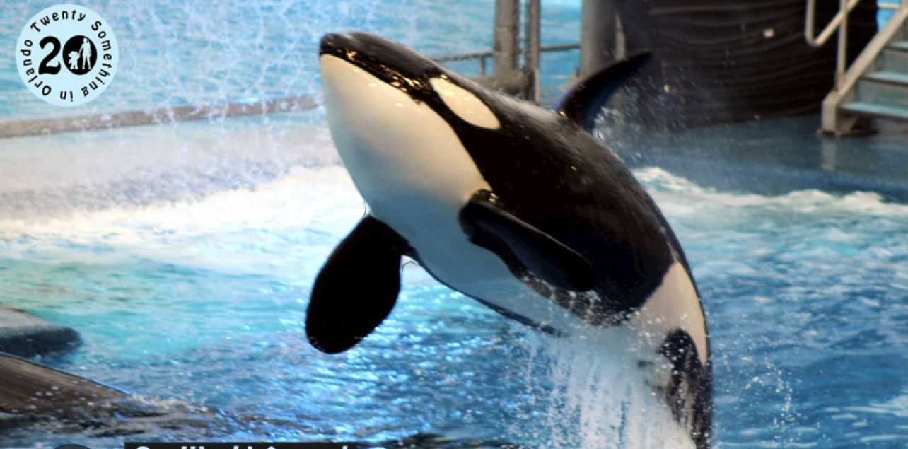 SEA WORLD PASES ! 3 Pases Con Parking 🅿️