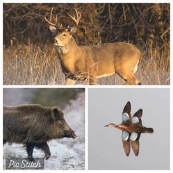 Hunting/ Cold Plunge Freezer