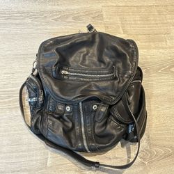 Alexander Wang 3 ways bag
