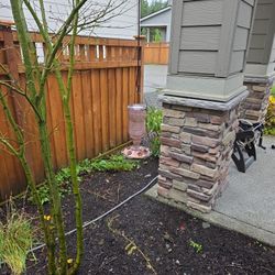 Pink Glass Humming Bird Feeder