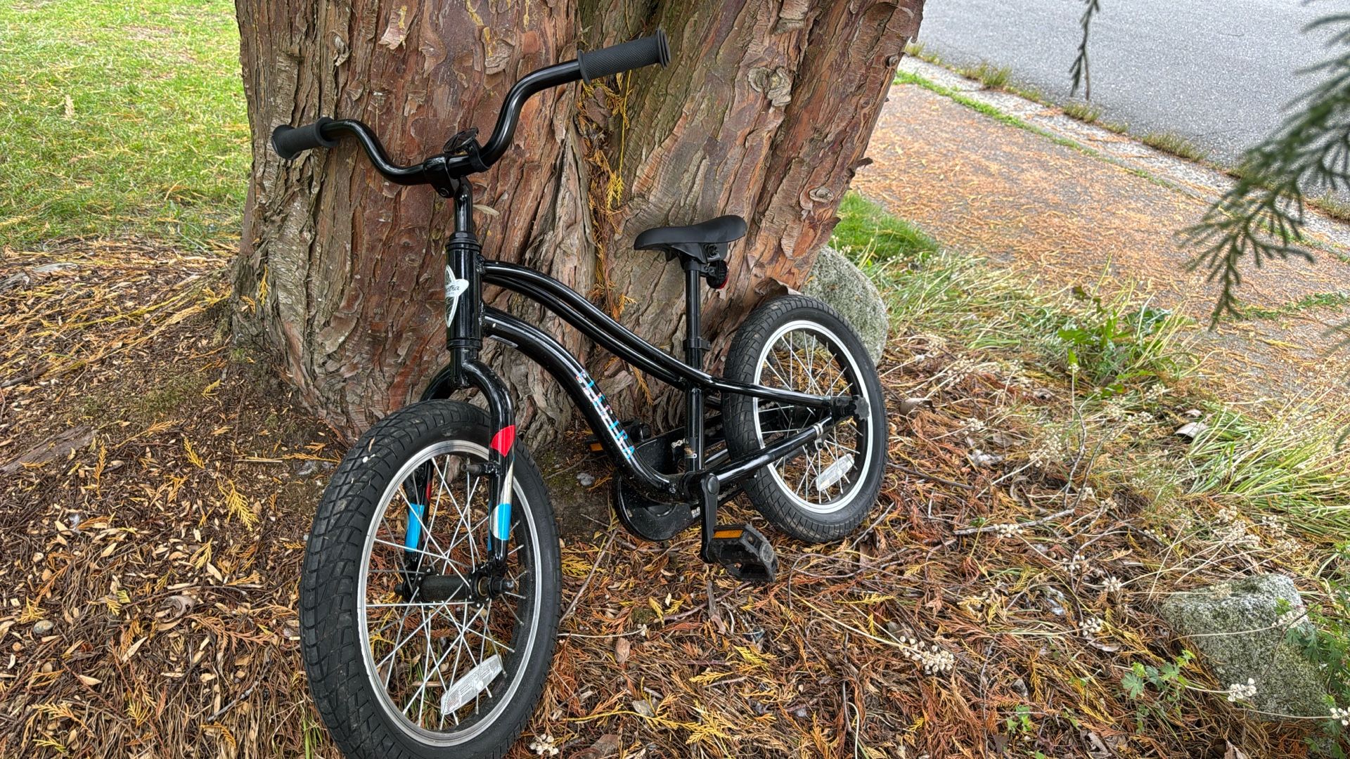 Kids R.E.I. Electra Bike - 16" Wheels