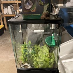 Frog/lizard and Betta Fish Tanks with Accessories 