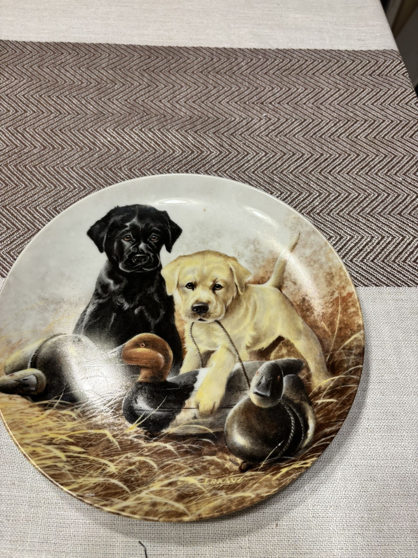 Vintage Knowles A Perfect Set Labrador Retrievers Collector Plate 1998 A Kaatz