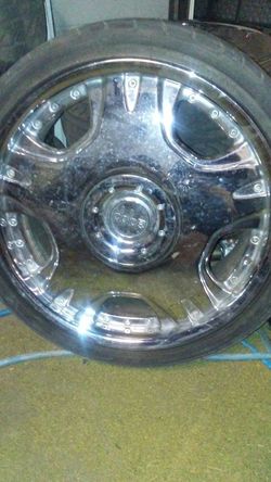Rines/Rims