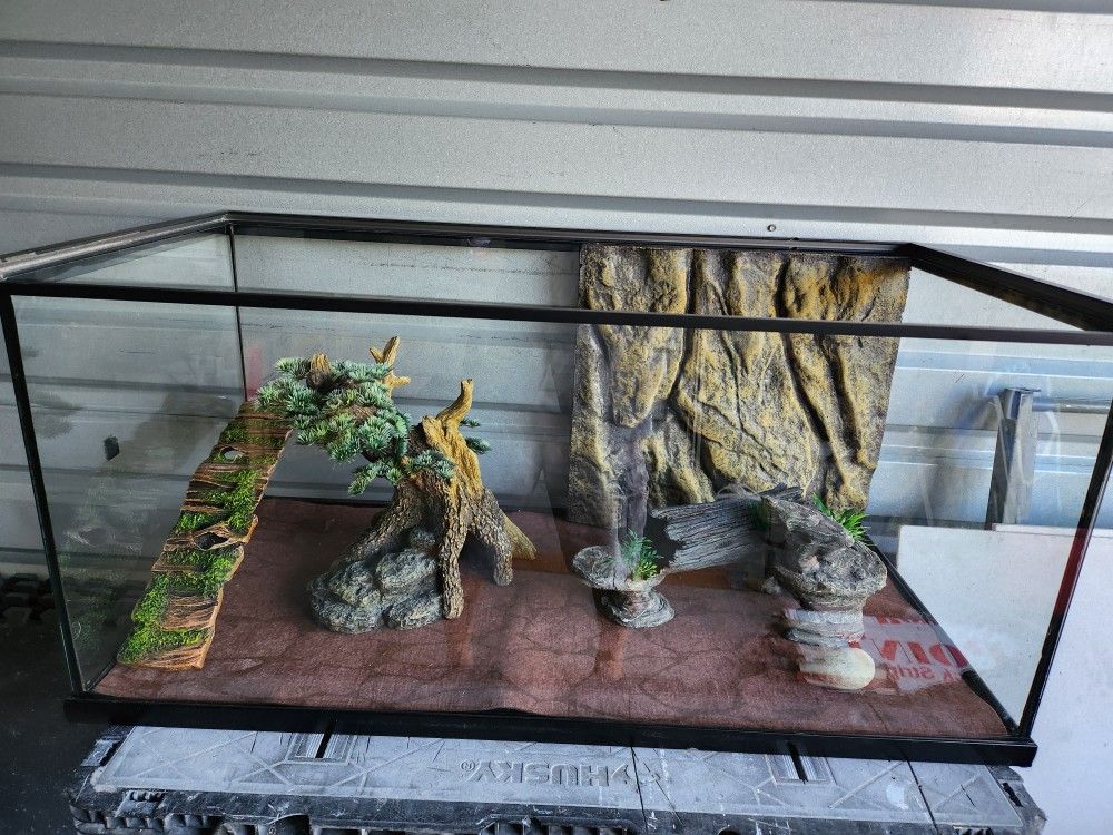 Reptile Aquarium