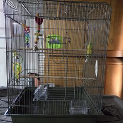Bird Cage