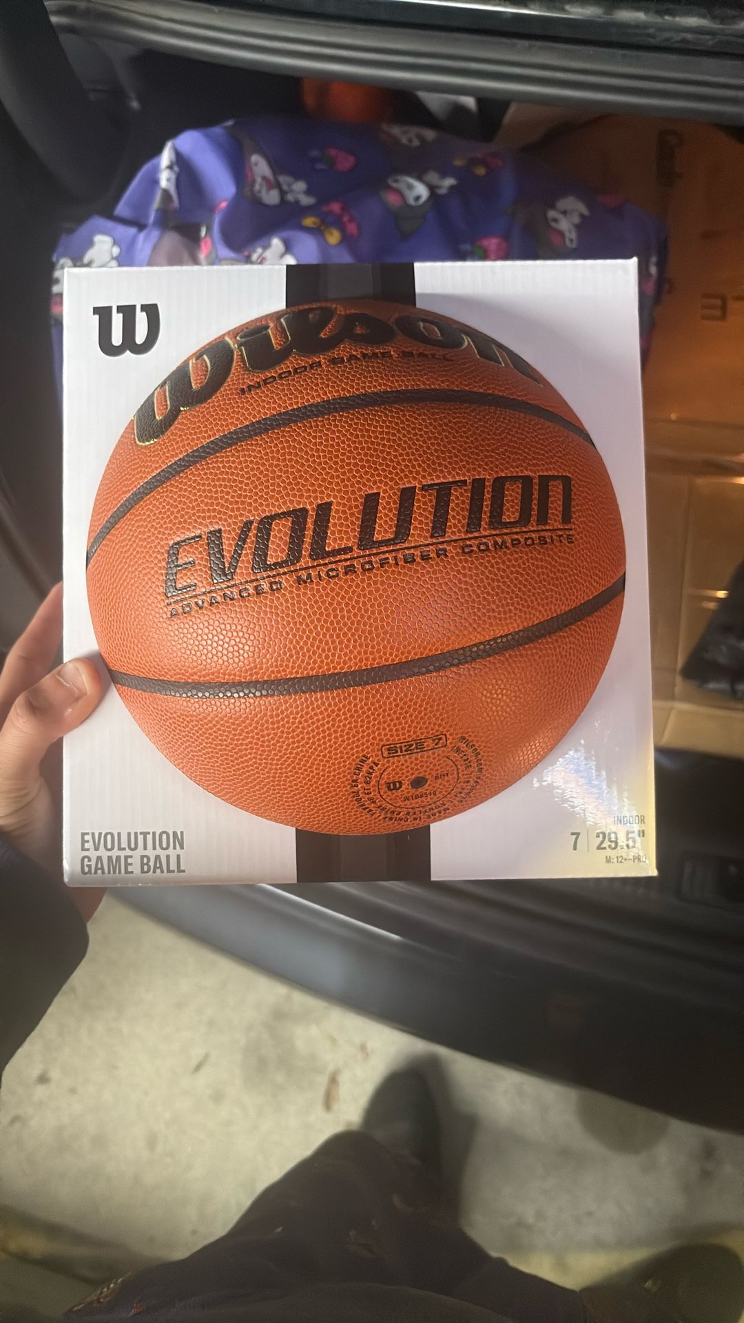 Wilson Evolution