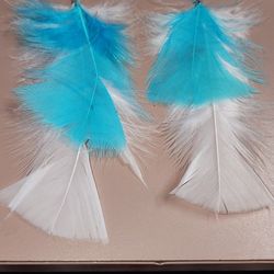 Feather Earrings