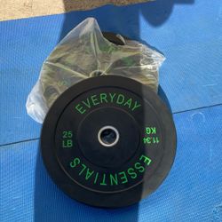 Weights/ Bumper Plates 