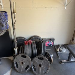 Rogue Bumper Plates And Additional Weights