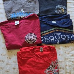 Medium Size T-shirts (5 ) Bundle 