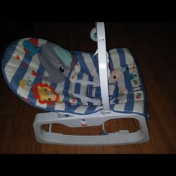 Infant Rocker  Like New