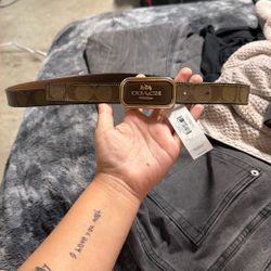 coach belt