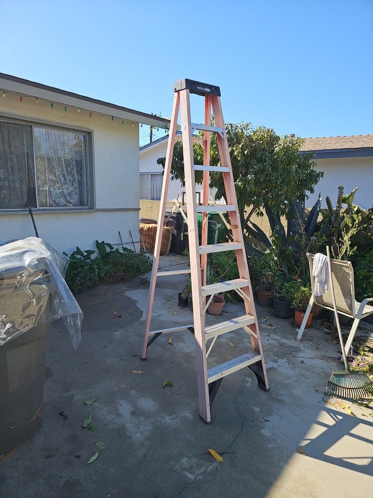 10 Ft Ladder