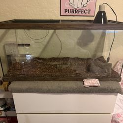 60 Gallon Reptile Tank 