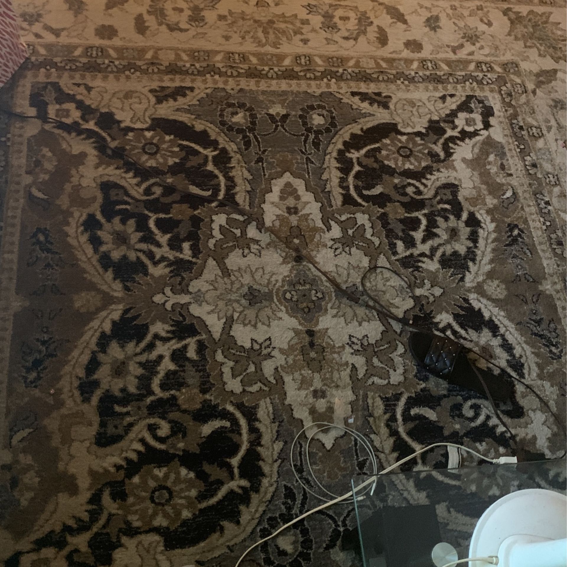 Living Room Rug I Only Had It For 2 Months I Moving To Another State