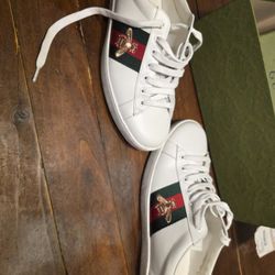 Gucci Shoes Size 9 Brand New