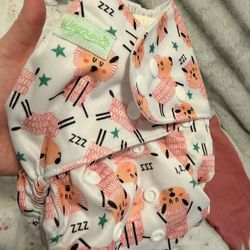 Cloth Diapers 