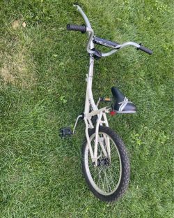 Schwinn Hitchhiker Tag-Along Bike