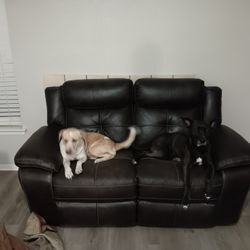 Leather Sofa Set